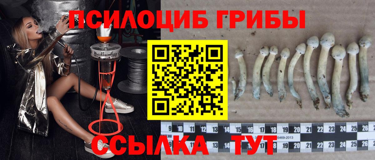 Псилоцибиновые грибы ЛСД Петрозаводск