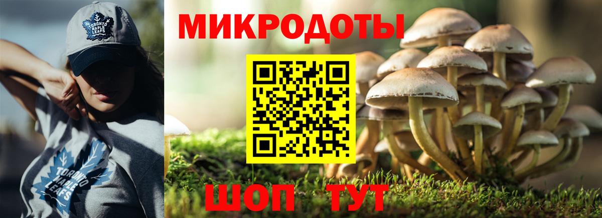 Петрозаводск  Галлюциногенные грибы Magic Shrooms  Вход с VPN 